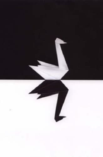 The Black Swan (TPB) (AUS): The Impact of the Highly Improbable